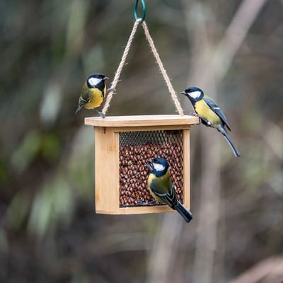 CJ Wildlife - Nagano Voedersysteem voor pindas & vetpellets - Bamboe & Metal - Vogelvoederplek - Cadeau