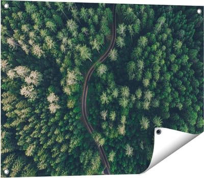 Gards Tuinposter Weg Door Bos met Bomen - Bovenaanzicht - 80x60 cm - Tuindoek - Tuindecoratie - Wanddecoratie buiten - Tuinschilderij