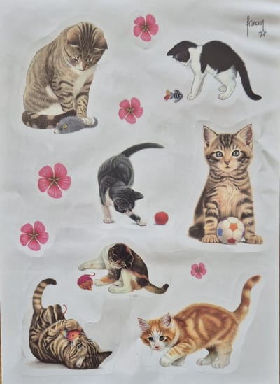 Raamstickers-Francien Katten-Verwijderbaar en herplakbaar-Katten-Poezen-Francien