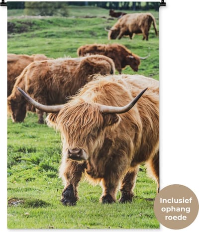 Wandkleed - Wanddoek - Kudde - Schotse hooglander - Gras - 90x135 cm - Wandtapijt