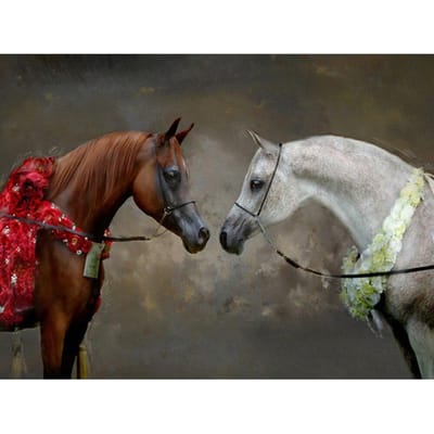Diamant schilderij paard volledige boor foto Strass diamant borduurwerk dier mozaïek Kit 20X30CM gray