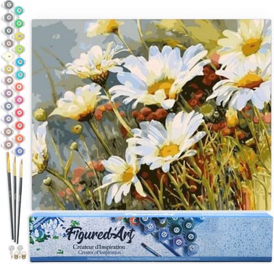 Figured'Art Schilderen op Nummer Volwassenen canvas Veld met madeliefjes in de lente - Handwerk acrylverf Kit DIY Compleet - 40x50cm zonder frame