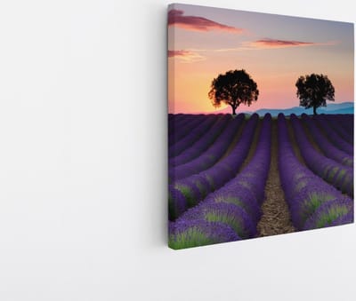 Saammp Canvas Schilderij - Kleurrijk Lavendelveld met bomen - Natuur - Landschap - 20x20 - Foto op canvas - Wanddecoratie - Muurdecoratie Woonkamer - Slaapkamer decoratie - Canvas Print