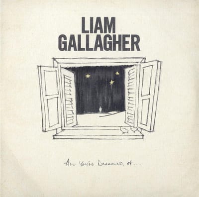 All You're Dreaming Of... - Liam Gallagher