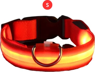 Nivard Lichtgevende Halsband - Verlichte Halsband - Lichtgevend - Hond - Kat - Lampje - Hondenhalsband Led - Nekband - Rood S