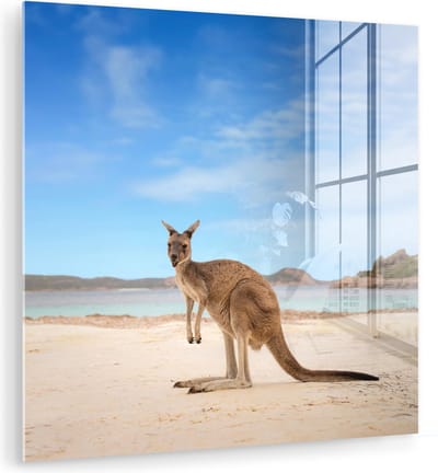 MuchoWow® Glasschilderij 90x90 cm - Schilderij acrylglas - Strand - Kangoeroe - Australië - Foto op glas - Muurdecoratie woonkamer - Wanddecoratie slaapkamer - Schilderijen