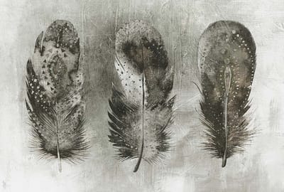 Fotobehang MotleyFeather3 DD117630 A.S. Création Atelier 47 | Goedkoop fotobehang