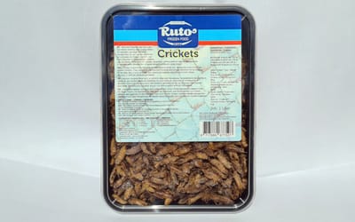 Ruto Diepvries krekels 1 liter | los ingevroren insectenvoer | ca. 500 g Diepvries