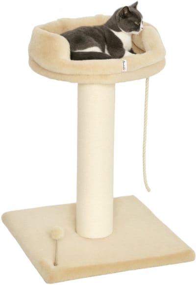 PawHut Kratzbaum 83 cm Katzenturm mit Sisalstämme, Plattform,Sisalseil, Kletterbaum Katzenkratzbaum für mittelgroße Katzen, Beige