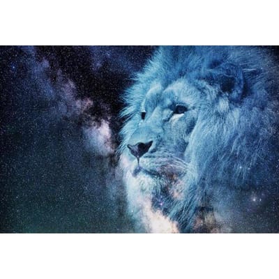 Diamond Painting Leeuw volledig rond diamantborduurwerk 20X30CM gray