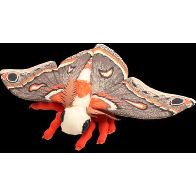 Schattige Luna Moth Pluche Speelgoed Levensgetrouwe Hyalophora Cecropia De Cecropia Mot Knuffels Insectenliefhebbers Kinderen Kerstcadeaus 25cm oranje