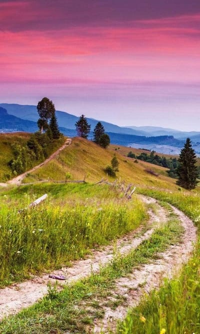 Fotobehang - Blooming Hills 150x250cm - Vliesbehang