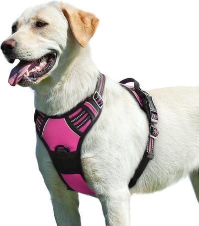 Hondentuig No Pull, Hondenharnas voor Grote Honden, Verstelbare Harnas Hond met Reflecterend Strepen, Gewatteerd Zacht Ademend, Hondentuigje Anti-trek voor Wandelen Training, Fuchsiaroze L