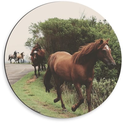 Dibond Wandcirkel - Dravende Paarden op Bergweg - 50x50cm Foto op Aluminium Wandcirkel (met ophangsysteem)