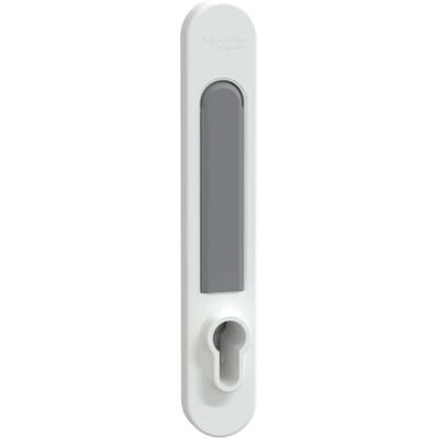 Schneider Electric LVS07932 PrismaSeT-P, deurgreep, voor profielcilinderslot zonder slot Verdeelkastaccessoire Metaal 1 stuk(s)