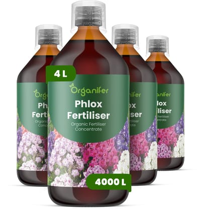 Vloeibare Meststof Voor Phlox 4X1 L Voor 4000 L - Npk 2-1-8 - Geschikt Voor Meerjarige En Eenjarige Vlambloemsoorten - Ondersteunt Herstel Na Snoeien - Bevordert Een Uitbundige Bloei En Levendige Bloemkleur - Organifer
