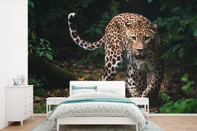 Behang - Fotobehang Wilde dieren - Luipaard - Jungle - Natuur - Breedte 360 cm x hoogte 240 cm