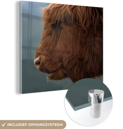 MuchoWow® Glasschilderij 50x50 cm - Schilderij acrylglas - Schotse Hooglander - Dieren - Mist - Foto op glas - Schilderijen