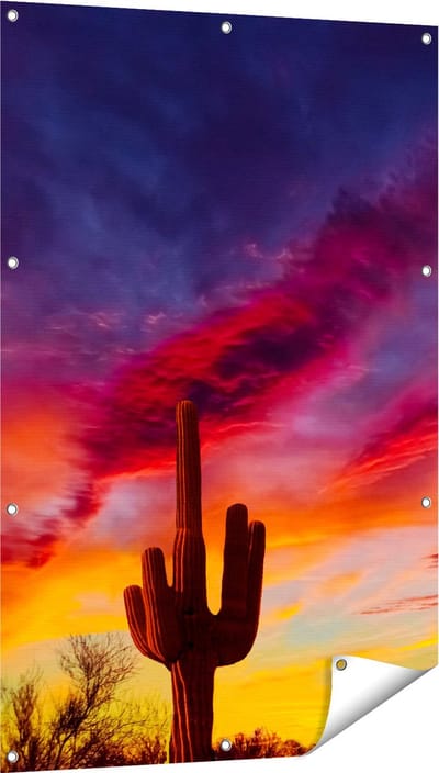 Gards Tuinposter Cactus bij Oranje Zonsondergang - 80x120 cm - Tuindoek - Tuindecoratie - Wanddecoratie buiten - Tuinschilderij