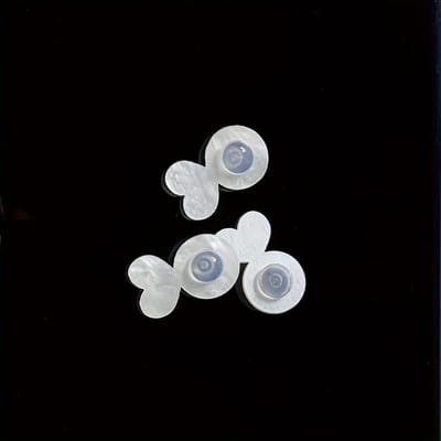 Coupelles de Fermeture d'Oreilles en Silicone, Adaptées aux Boucles d'Oreilles Lourdes, Coussinets de Soutien Liftants Invisibles, Conçus pour les Lobes d'Oreilles qui ne S'affaissent pas, Souleveurs d'Oreilles Sécurisés white