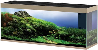 Ciano Emotions Pro 150 | 300L | 149,2 x 39,8 x 61CM Mystic