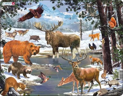 Larsen Maxi FH32 Vormpuzzel 54 stuk(s) Flora & fauna