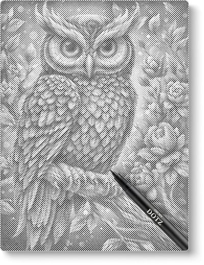 Prachtige Uil | Dot painting | 50x60cm  Meest gekozen | Dot painting | Oh My Dotz | Dots stippen | Diamond painting & Schilderen op nummer alternatief | Happy hobby