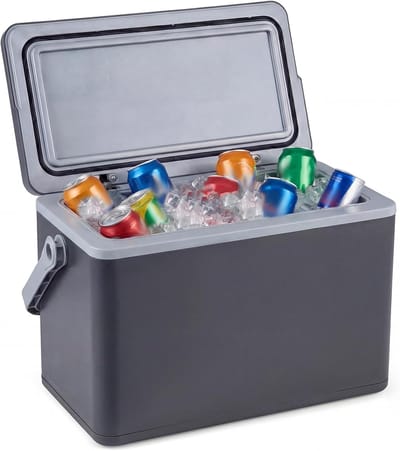 KOMFOTTEU Koelbox - thermisch beveiligd - 12 L - inhoud voor 3 dagen - voorzien van een comfortabel handvat - voor kamperen, picknicks of festivals