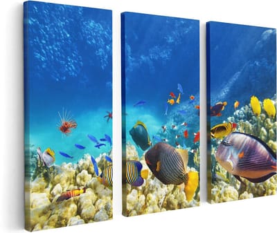 Artaza Canvas Schilderij Drieluik Vissen in de Oceaan met Koralen - 120x80 cm - Wanddecoratie Woonkamer - Schilderijen - Muurdecoratie