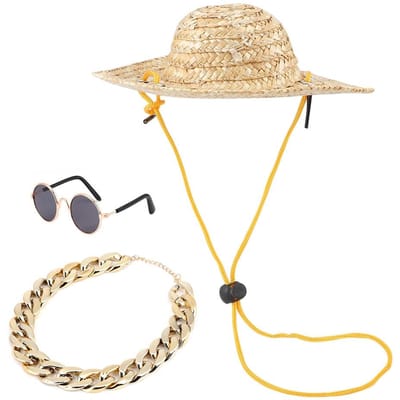 Lunettes de soleil tendance pour animaux de compagnie Rétro Chapeau de paille Collier Chat Accessoire de photographie pour animaux de compagnie Ensemble 3 pièces beige