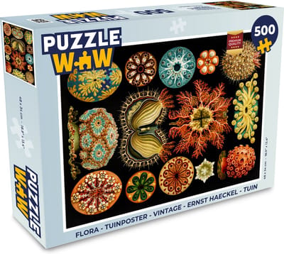 Puzzel Vintage - Ernst Haeckel - Zeedier - Natuur - Zee - Kunst - Legpuzzel - Puzzel 500 stukjes