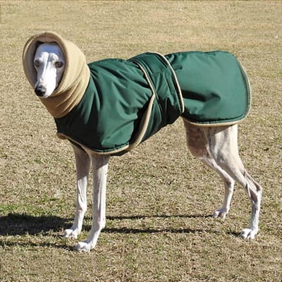 Super Warme Dikke Hondenkleding Waterdichte Hondenjas Jas Voor Middelgrote Grote Honden Windhond Wolfshond Herder Kleding 5XL
