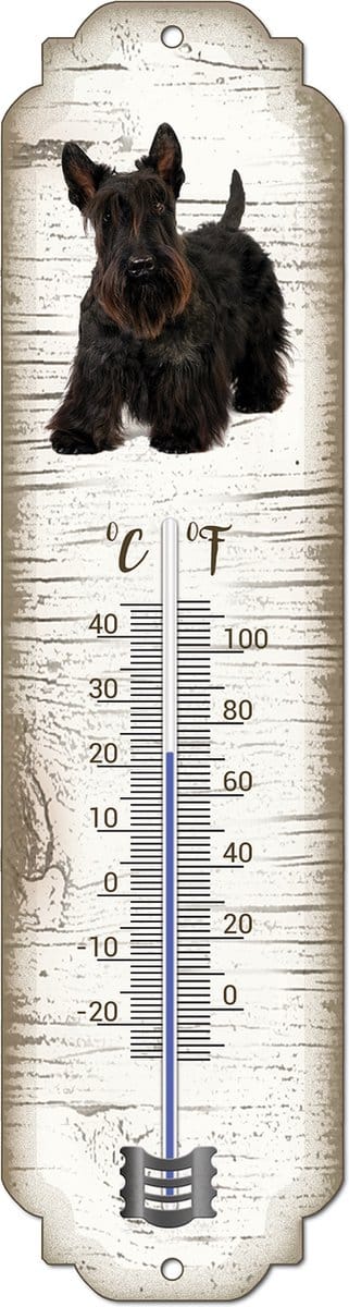 Thermometer: Schotse Terriër | Hondenras | Temperatuur binnen en buiten | -25 tot +45C