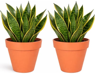 Mega Collections Plantenpot / bloempot - 3x - kunststof - oranje - binnen/buiten - D29 x H28 cm