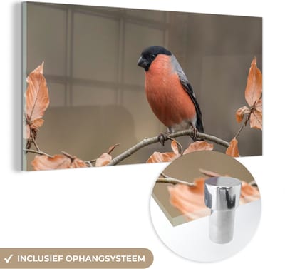 MuchoWow® Glasschilderij 40x20 cm - Schilderij acrylglas - Vogel - Bladeren - Herfst - Goudvink - - Foto op glas - Schilderijen