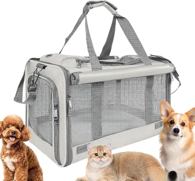 Dierenvervoerder Reistas - Huisdier Draagtas - Veilig Reizen - Ademend Mesh Ontwerp - 46 x 30 x 30 cm - Crèmekleurig