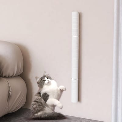 SnelShoppen - Kattenboom Klimmuur voor Katten, Wandmontage Krabpaal met Grote Sisal Touw, 75 cm Kattenklimwand met Katten Speelgoed