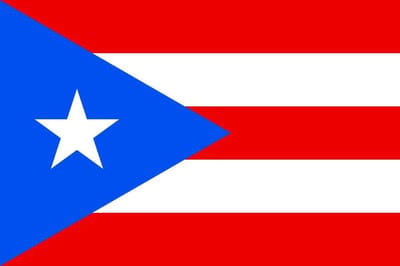 Vlag Puerto Rico 30x45cm