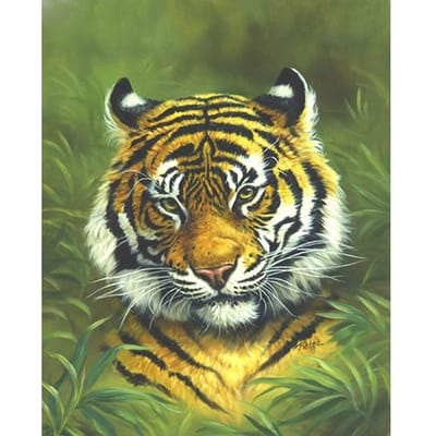 Peinture au Diamant Perçage Complet Rond Tigre dans l'Herbe Mosaïque DIY Peinture au Diamant Point de Croix 20X30CM black