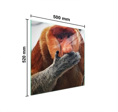 TMK ArtDeko - Beschermplaat van Glas - 50x52 cm - Voor Inductie- en Gaskookplaten - Meerdere Toepassingen