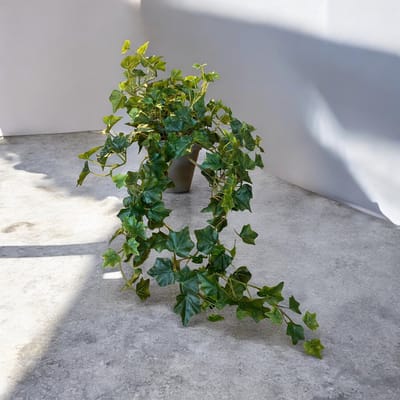 Seta Fiori - Hedera Plant - hangplant - kunstplant - Ivy - 80cm