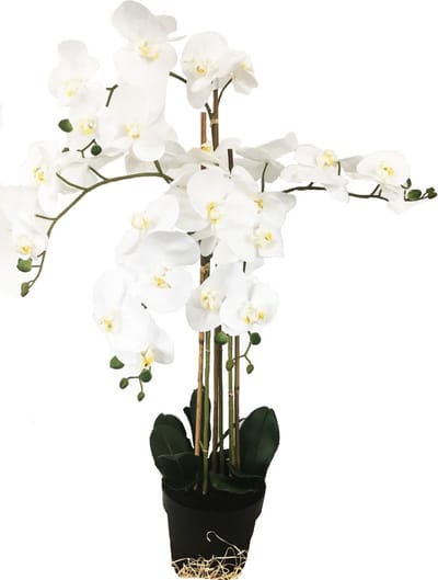 HEM Grote Levensechte Kunst Orchidee / Phlaenopsis plant 100 cm met pot ( 5-taks vol bloemen) kleur Wit - Kunstplant