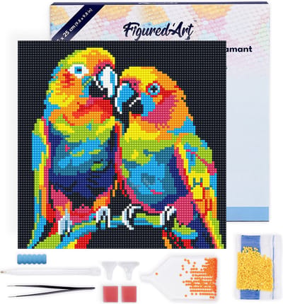 Figured'Art Mini Diamond Painting set Volwassenen 25x25 cm met lijst Papegaaien Abstracte Pop-Art - 5D DIY Art full drill ronde diamant - Canvas al ingelijst