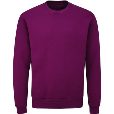 Milieuvriendelijk sweatshirt met ronde hals Mantis Essential