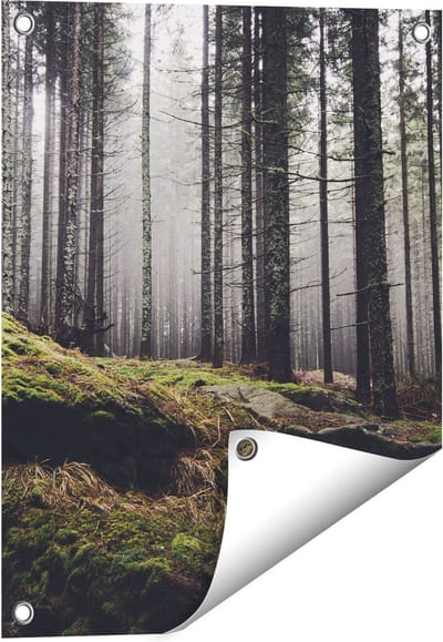 Gards Tuinposter Bos met Mos op Rotsen - 40x50 cm - Tuindoek - Tuindecoratie - Wanddecoratie buiten - Tuinschilderij