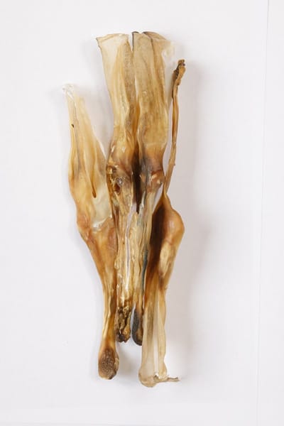 Konijn oor konijnoren 1kg van de snackmeester 100% natuurlijk natural naturel
