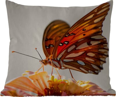 Tuinkussen - Vlinder - Oranje - Bloem - Insecten - 40x40 cm - Weerbestendig