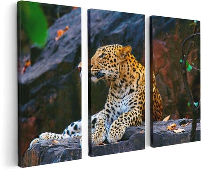 Artaza Canvas Schilderij Drieluik Luipaard Op De Rotsen - 120x80 - Foto Op Canvas - Canvas Print