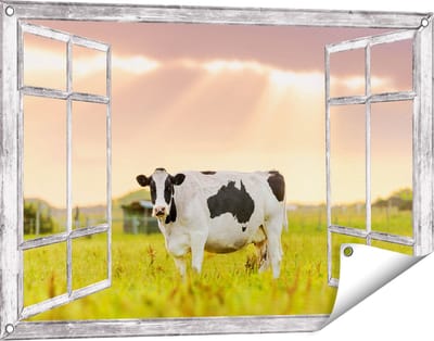 Gards Tuinposter Doorkijk Zwart Wit Koe in de Wei bij Zonsopkomst - 90x60 cm - Tuindoek - Tuindecoratie - Wanddecoratie buiten - Tuinschilderij