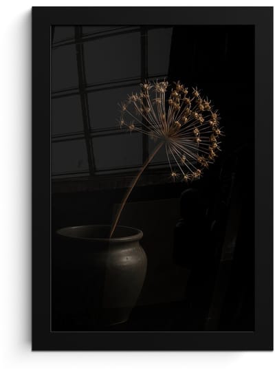 Poster in lijst - Fotolijst 20x30 cm - Posters - Bol - Gedroogd - Vaas - Zwart - Posterlijst zwart - Decoratie - Wanddecoratie woonkamer - Muurdecoratie slaapkamer